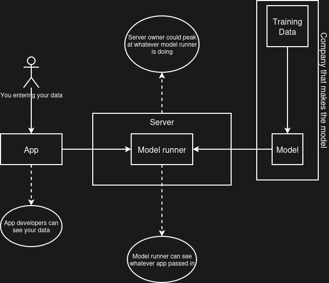 The app, model runner and server could in theory see your data. The model and its training data are separate.